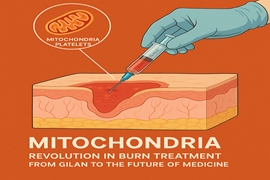 میتوکندری‌تراپی؛ انقلاب نوین در درمان سوختگی from wound to wonder
